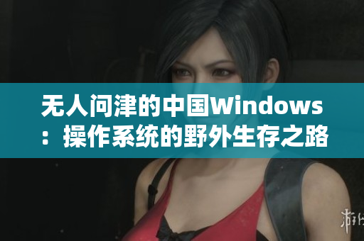 无人问津的中国Windows：操作系统的野外生存之路