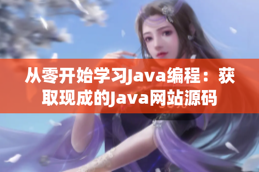 从零开始学习Java编程：获取现成的Java网站源码