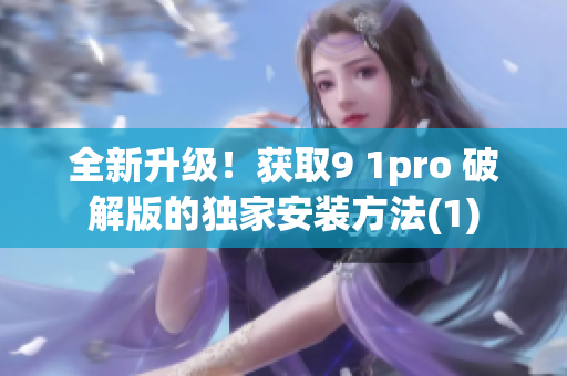 全新升级！获取9 1pro 破解版的独家安装方法(1)