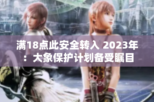 满18点此安全转入 2023年：大象保护计划备受瞩目