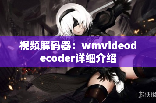 视频解码器：wmvideodecoder详细介绍