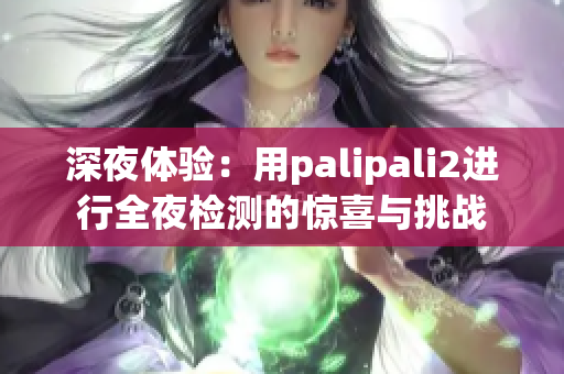 深夜体验：用palipali2进行全夜检测的惊喜与挑战