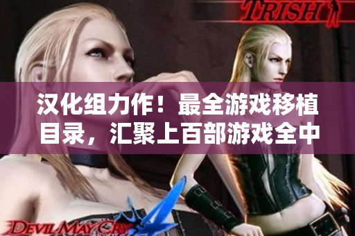 汉化组力作！最全游戏移植目录，汇聚上百部游戏全中文版！