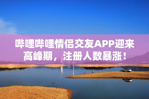 哔哩哔哩情侣交友APP迎来高峰期，注册人数暴涨！