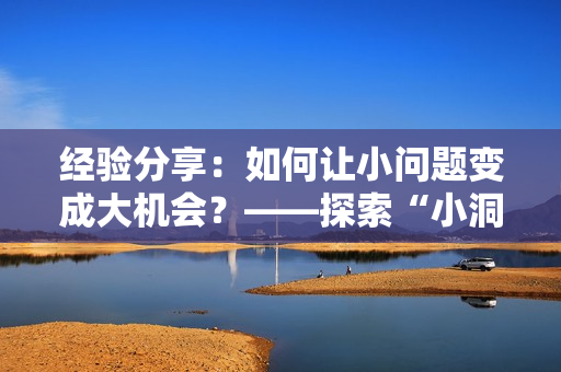 经验分享：如何让小问题变成大机会？——探索“小洞需要大肉肠”的秘密