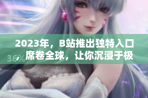 2023年，B站推出独特入口，席卷全球，让你沉浸于极致娱乐之中