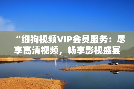 “细狗视频VIP会员服务：尽享高清视频，畅享影视盛宴”