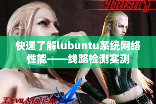 快速了解lubuntu系统网络性能——线路检测实测