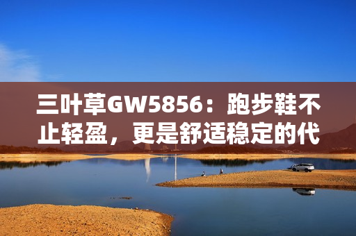 三叶草GW5856：跑步鞋不止轻盈，更是舒适稳定的代表