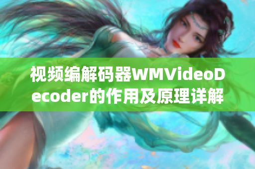 视频编解码器WMVideoDecoder的作用及原理详解(1)