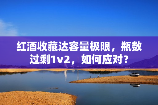 红酒收藏达容量极限，瓶数过剩1v2，如何应对？