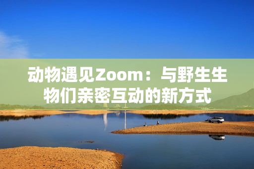 动物遇见Zoom：与野生生物们亲密互动的新方式