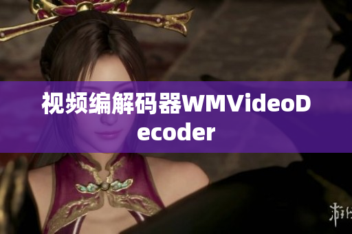 视频编解码器WMVideoDecoder