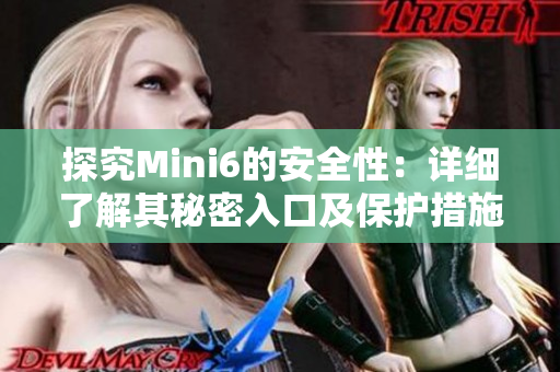 探究Mini6的安全性：详细了解其秘密入口及保护措施