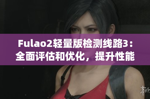 Fulao2轻量版检测线路3：全面评估和优化，提升性能和稳定性(1)