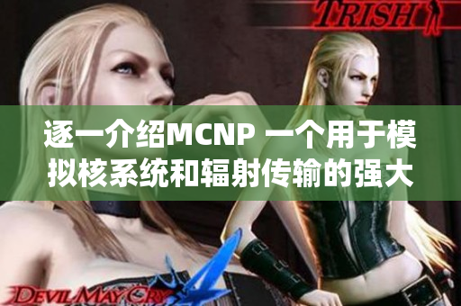 逐一介绍MCNP 一个用于模拟核系统和辐射传输的强大工具