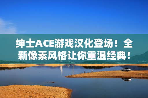 绅士ACE游戏汉化登场！全新像素风格让你重温经典！