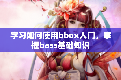 学习如何使用bbox入门，掌握bass基础知识