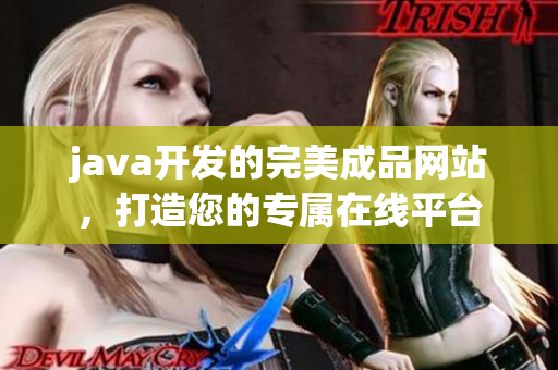 java开发的完美成品网站，打造您的专属在线平台