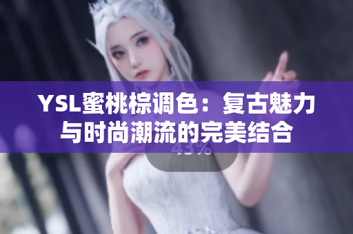 YSL蜜桃棕调色：复古魅力与时尚潮流的完美结合