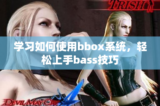 学习如何使用bbox系统，轻松上手bass技巧