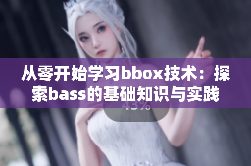 从零开始学习bbox技术：探索bass的基础知识与实践方法