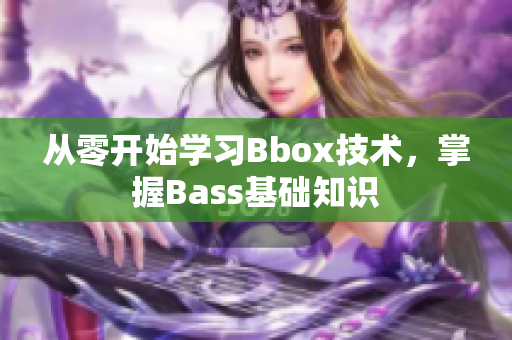 从零开始学习Bbox技术，掌握Bass基础知识