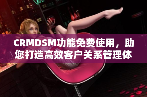 CRMDSM功能免费使用，助您打造高效客户关系管理体系