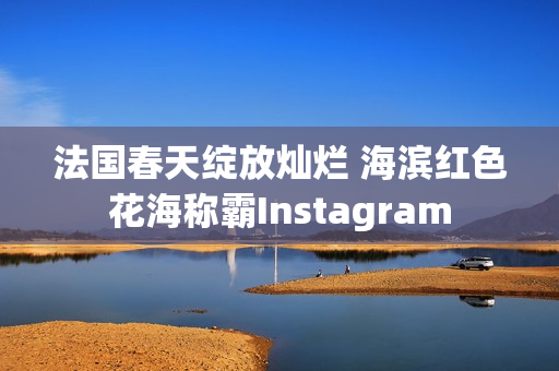 法国春天绽放灿烂 海滨红色花海称霸Instagram