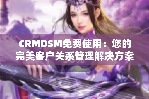 CRMDSM免费使用：您的完美客户关系管理解决方案