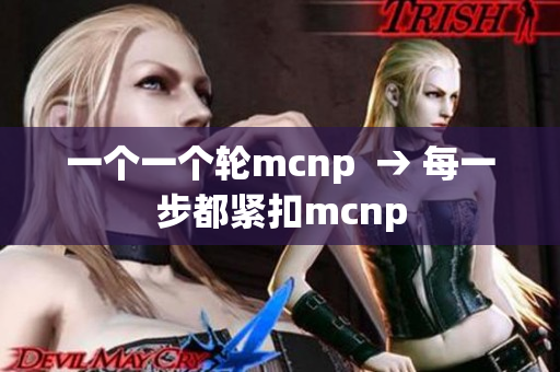 一个一个轮mcnp  → 每一步都紧扣mcnp