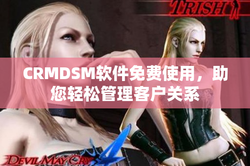 CRMDSM软件免费使用，助您轻松管理客户关系