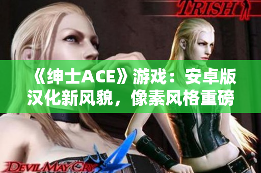 《绅士ACE》游戏：安卓版汉化新风貌，像素风格重磅来袭