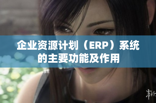 企业资源计划（ERP）系统的主要功能及作用