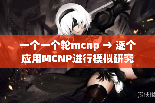 一个一个轮mcnp → 逐个应用MCNP进行模拟研究