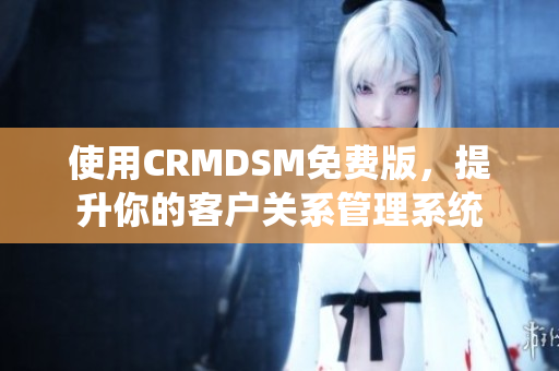 使用CRMDSM免费版，提升你的客户关系管理系统