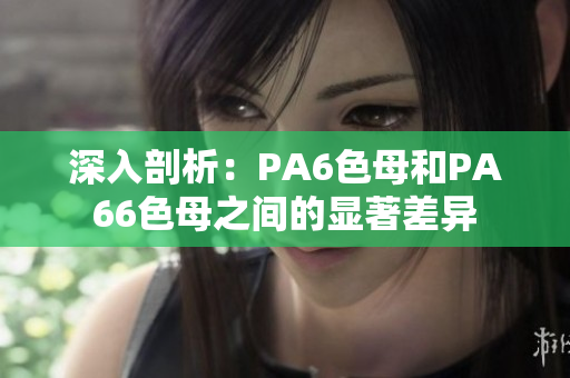 深入剖析：PA6色母和PA66色母之间的显著差异