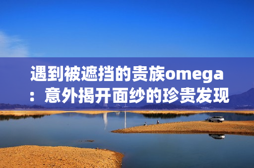 遇到被遮挡的贵族omega：意外揭开面纱的珍贵发现！